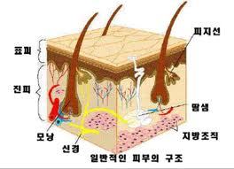여드름.jpg